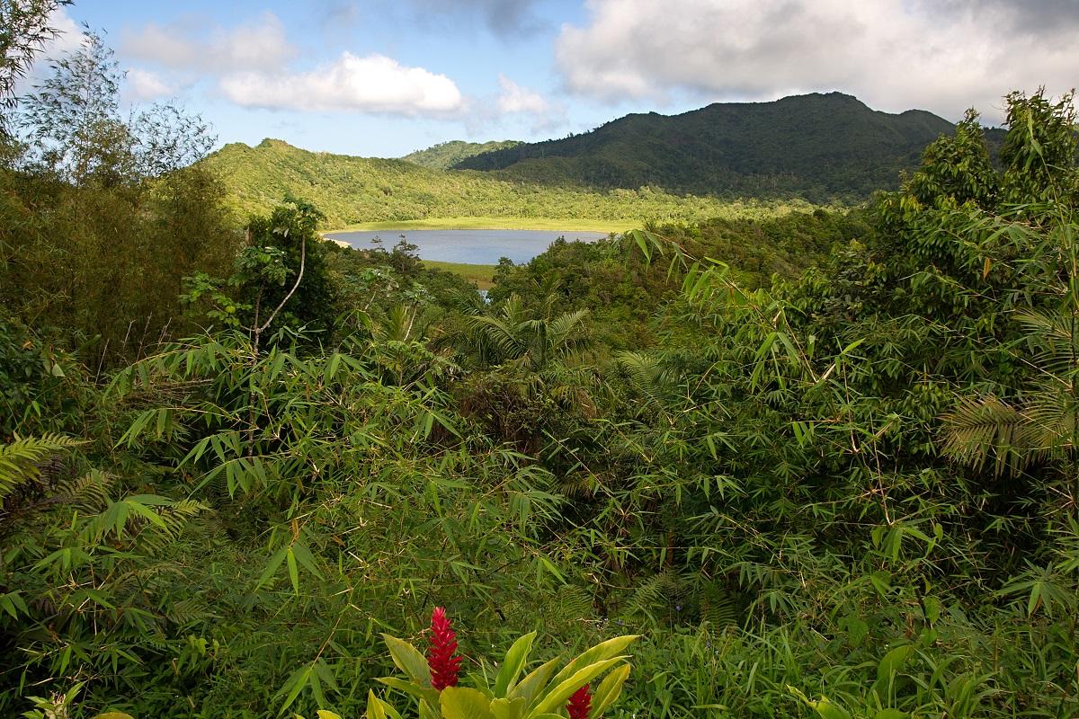 Grenada Highlights (Wheelcair Accessible)