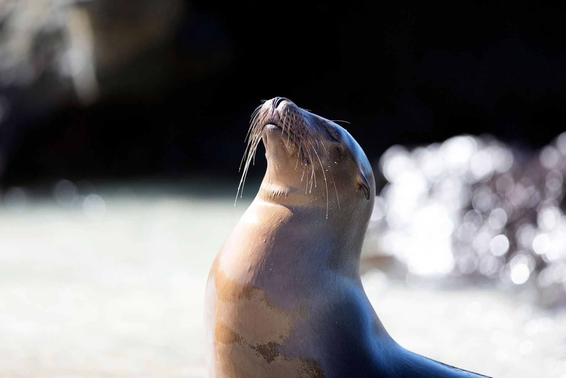 San Cristóbal, Galápagos a San Cristóbal, Galápagos