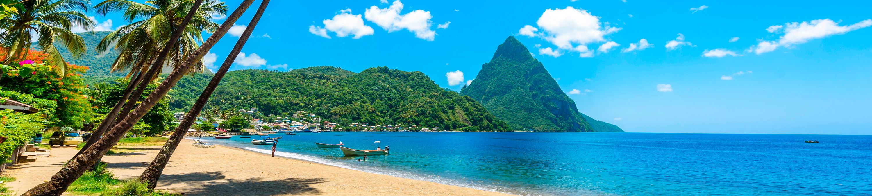 Caribbean Cardroom Caribbean Cardroom