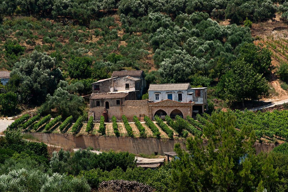 Treasures of Cretan Culture