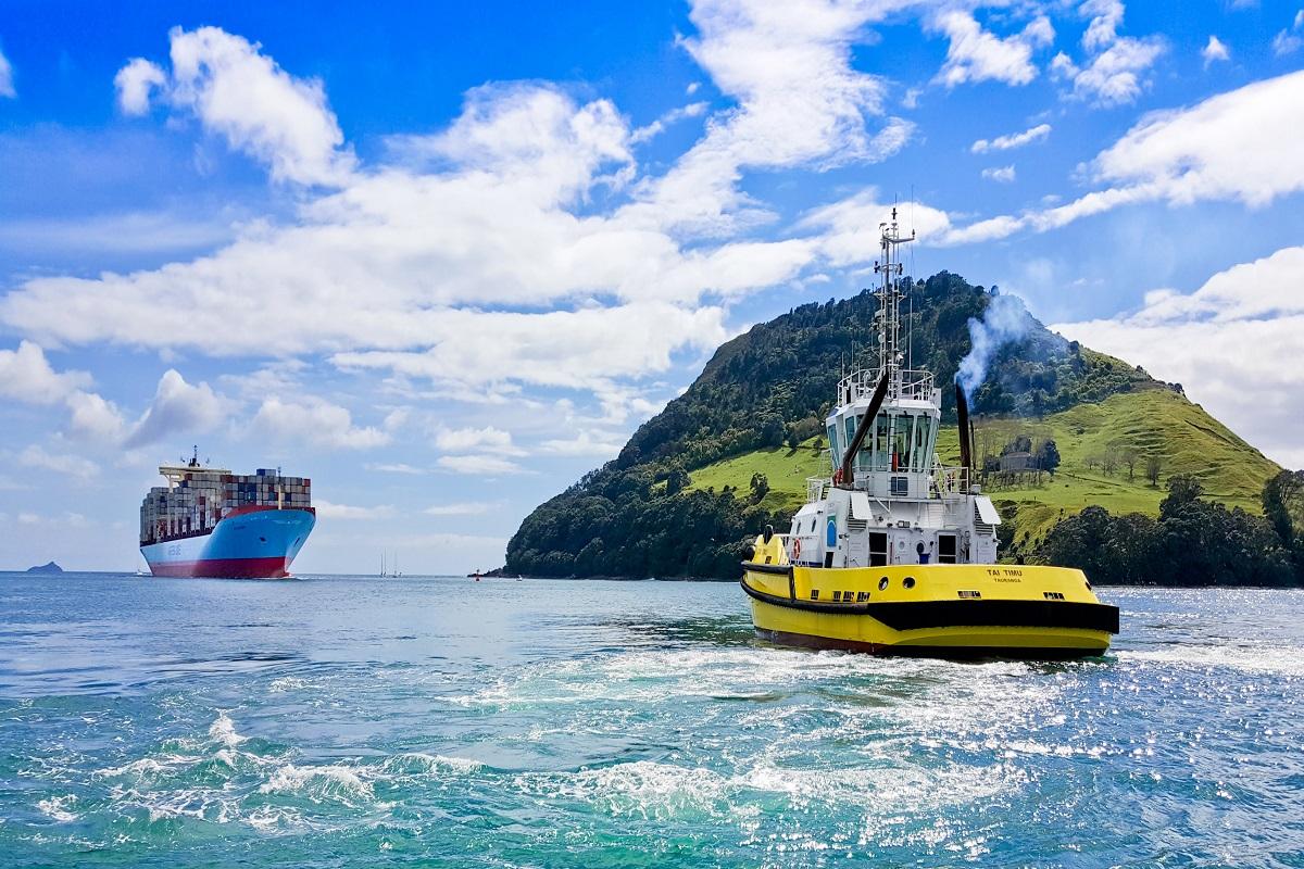 Tauranga Scenic Harbour Cruise