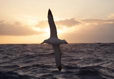 Drake Passage