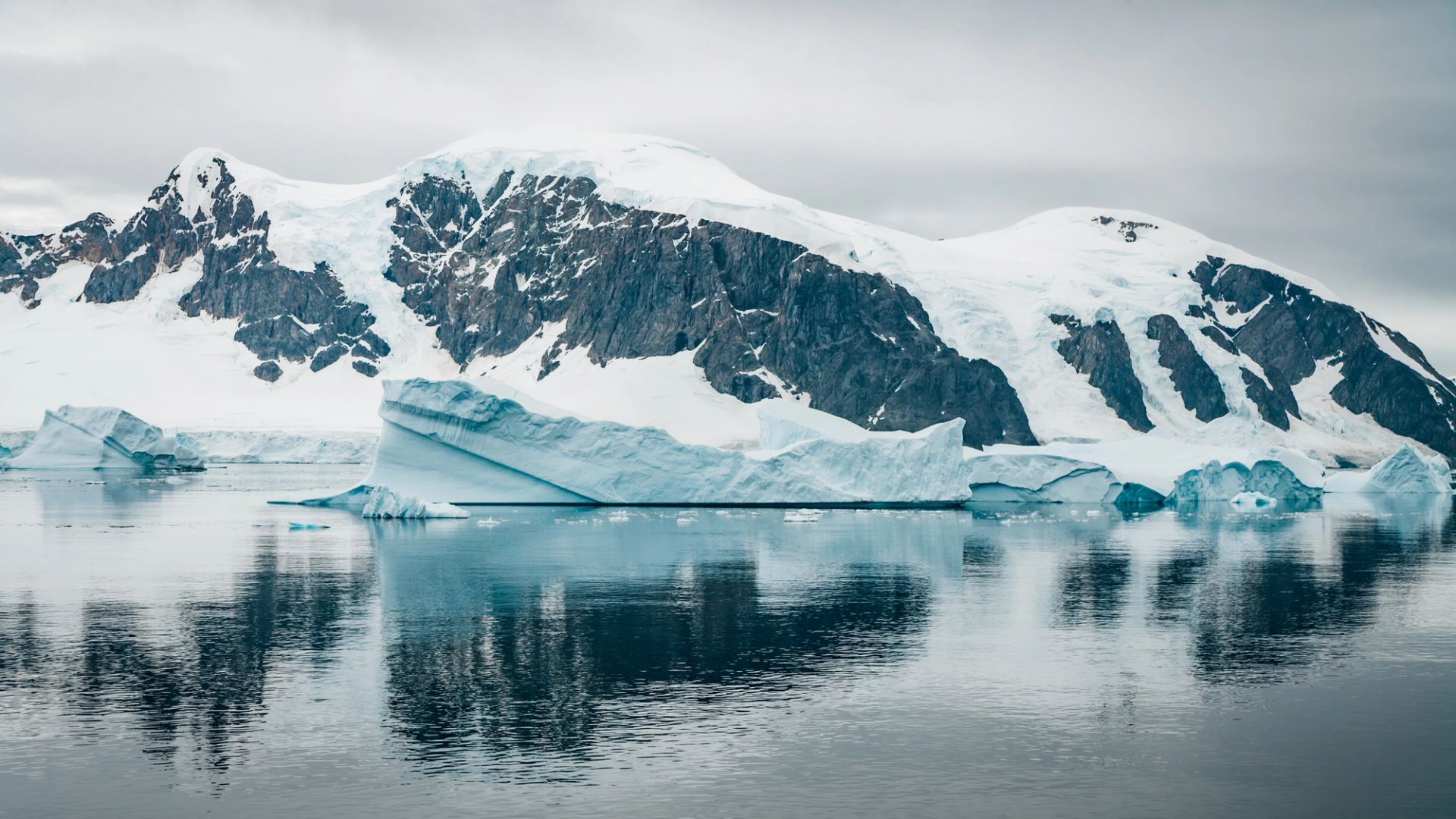 King George Island to King George Island
