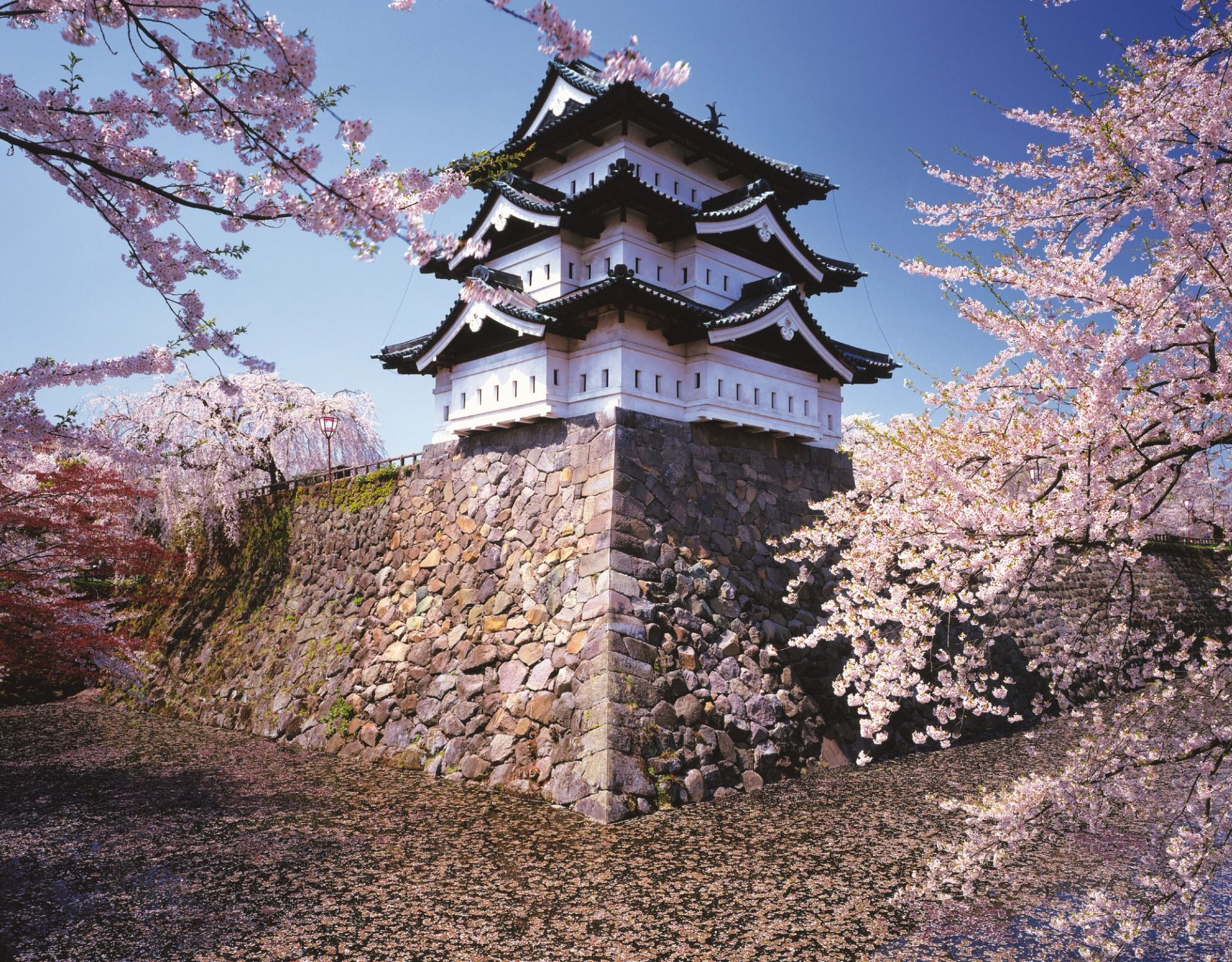 Tokyo to Tokyo