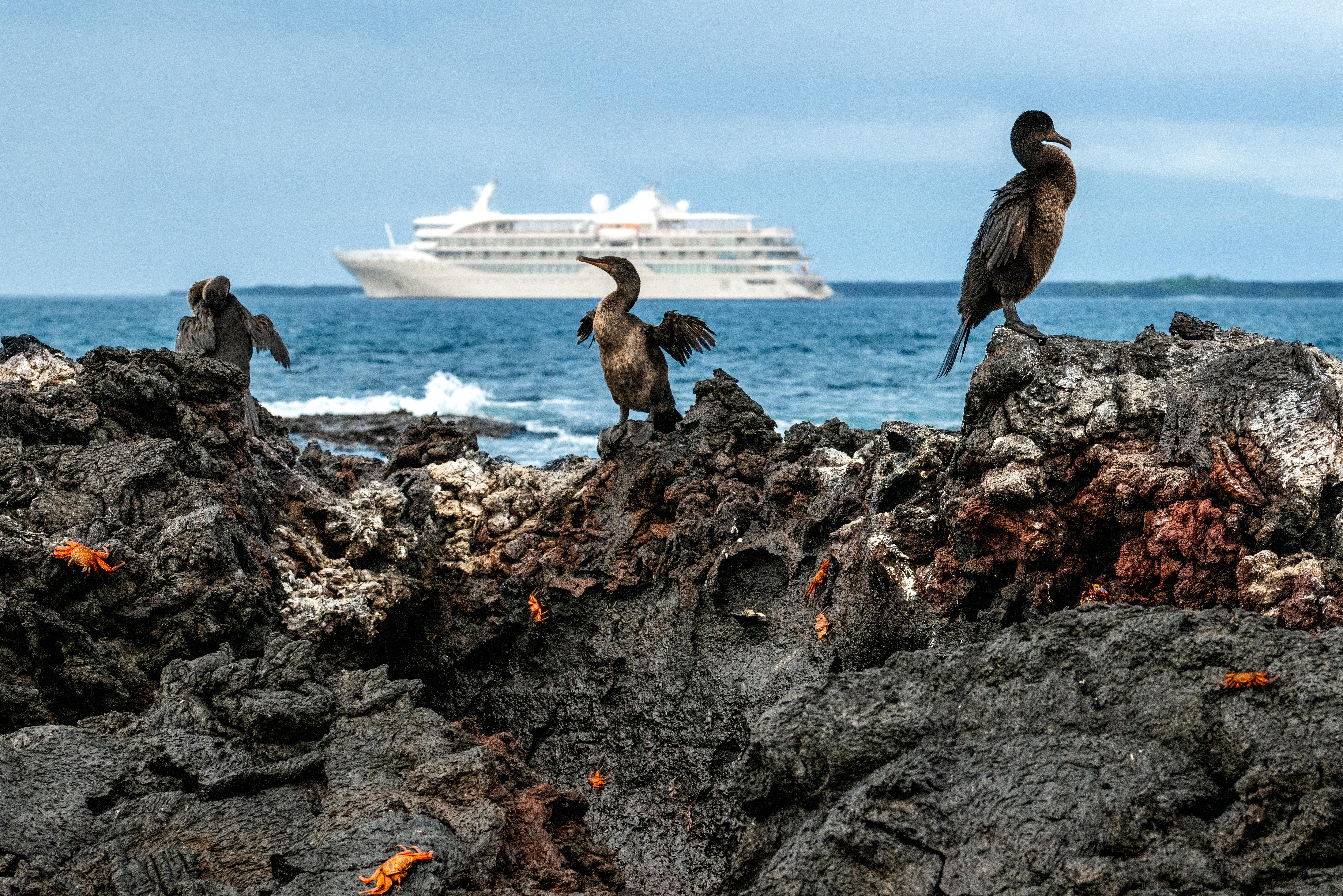 The Galápagos Islands
