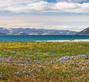 Lavrentiya Bay