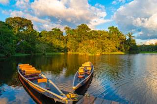 La beauté intacte de l'Amazonie