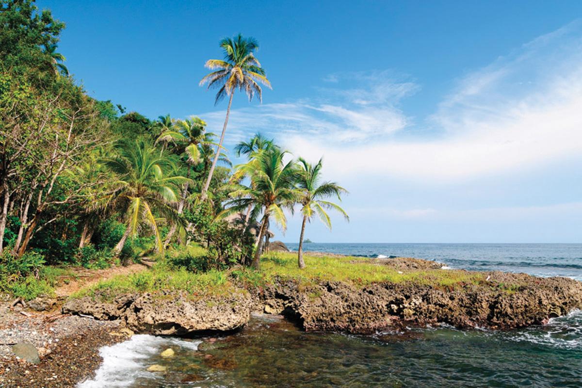 Gorgona Island