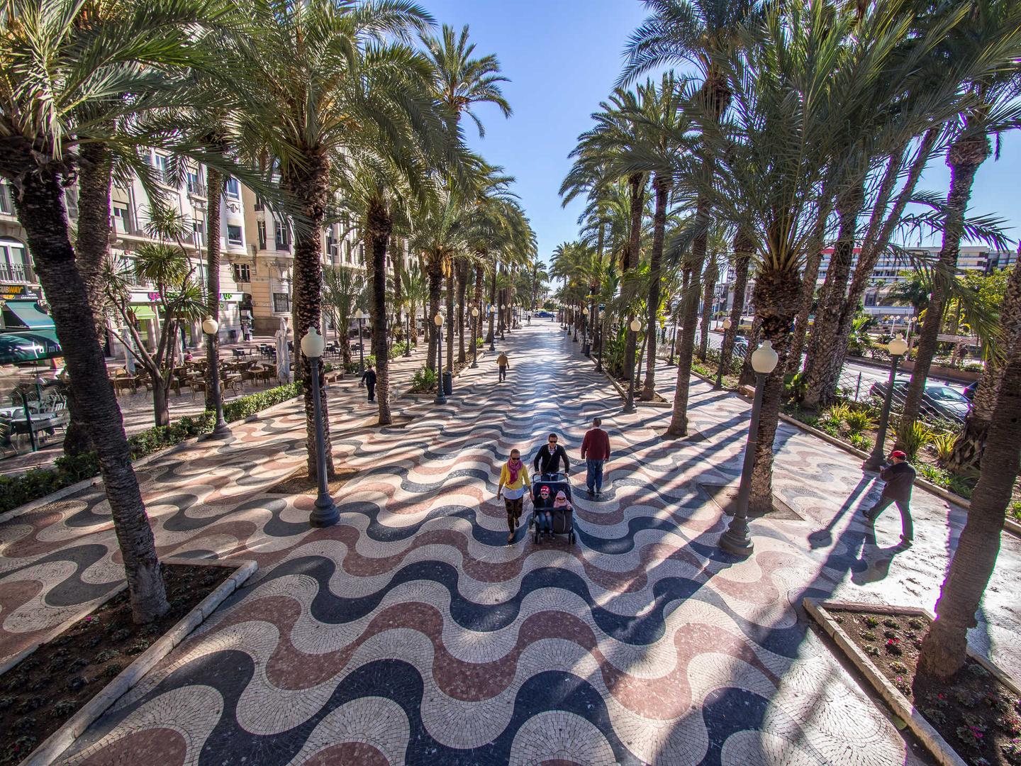 Alicante & Wine Traditions