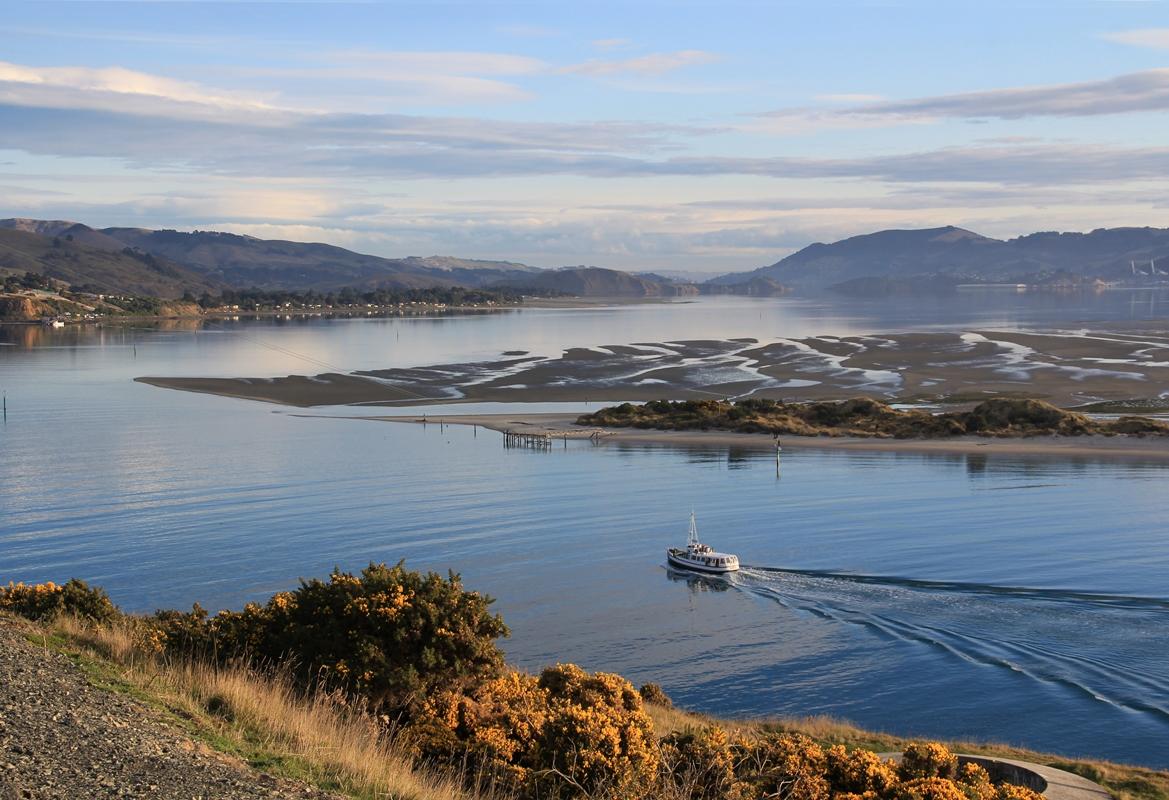 Otago Wildlife Cruise