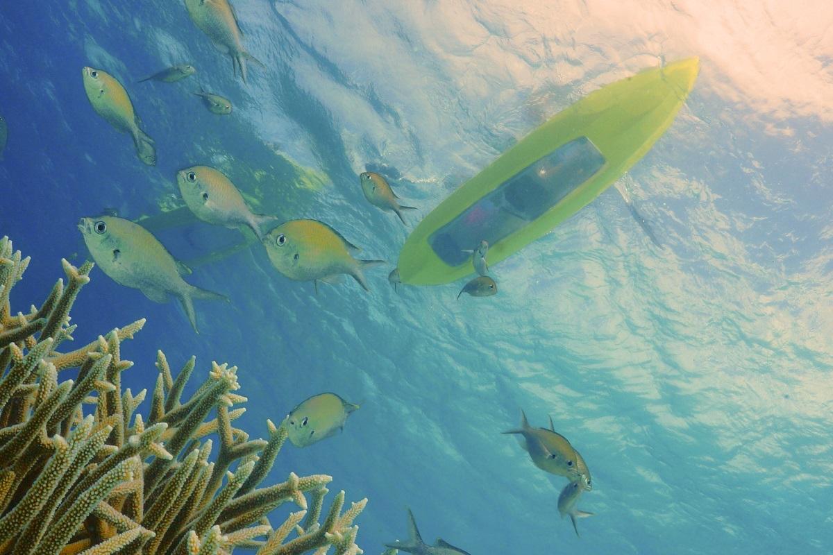 Kayak & Snorkel Adventure