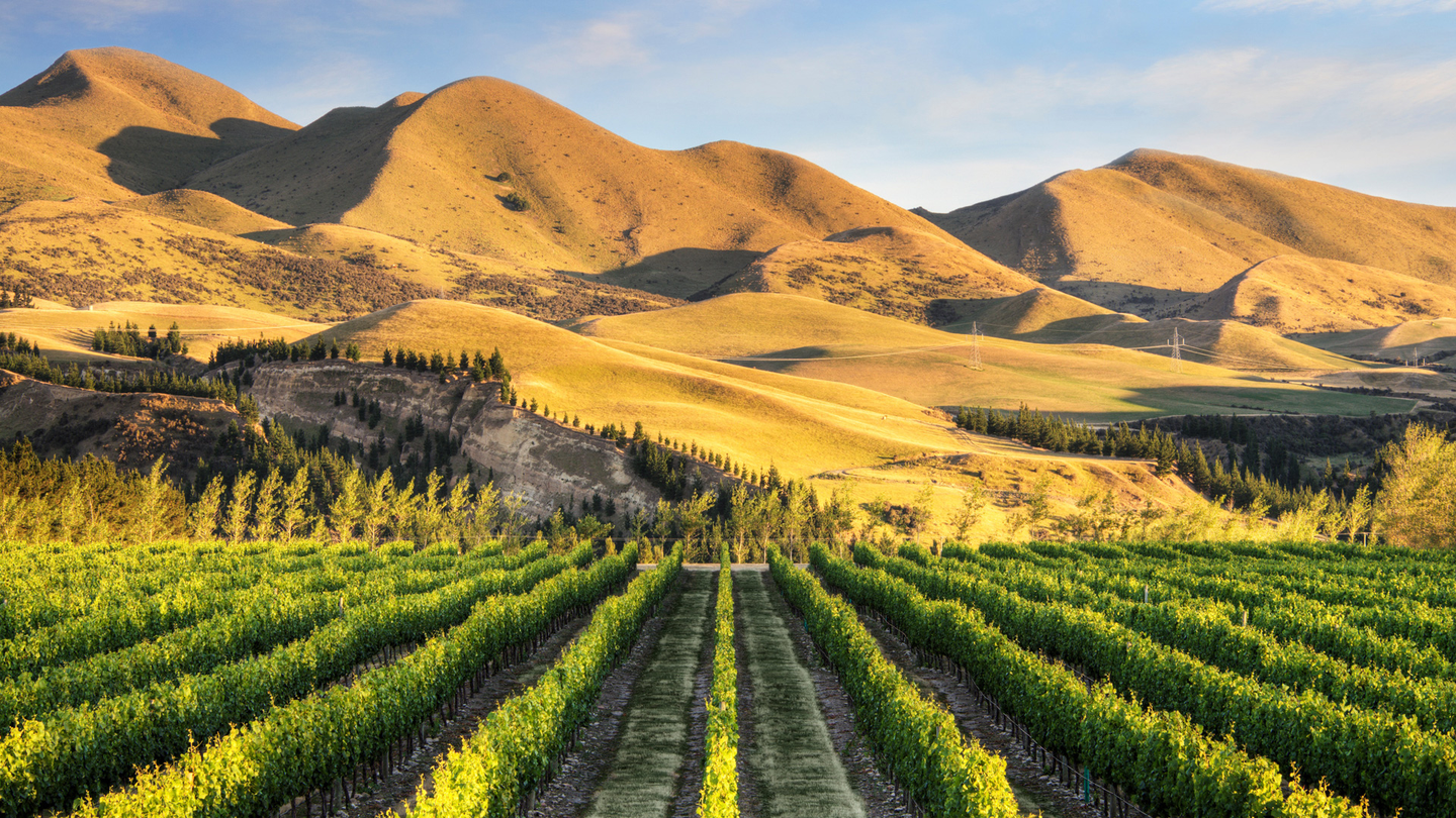 Waipara Valley Wine Outing