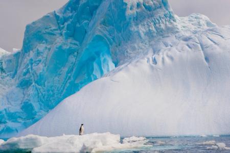 Puerto Williams to Puerto Williams
