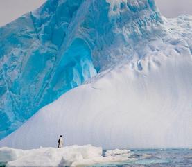 Cruise Puerto Williams Puerto Williams