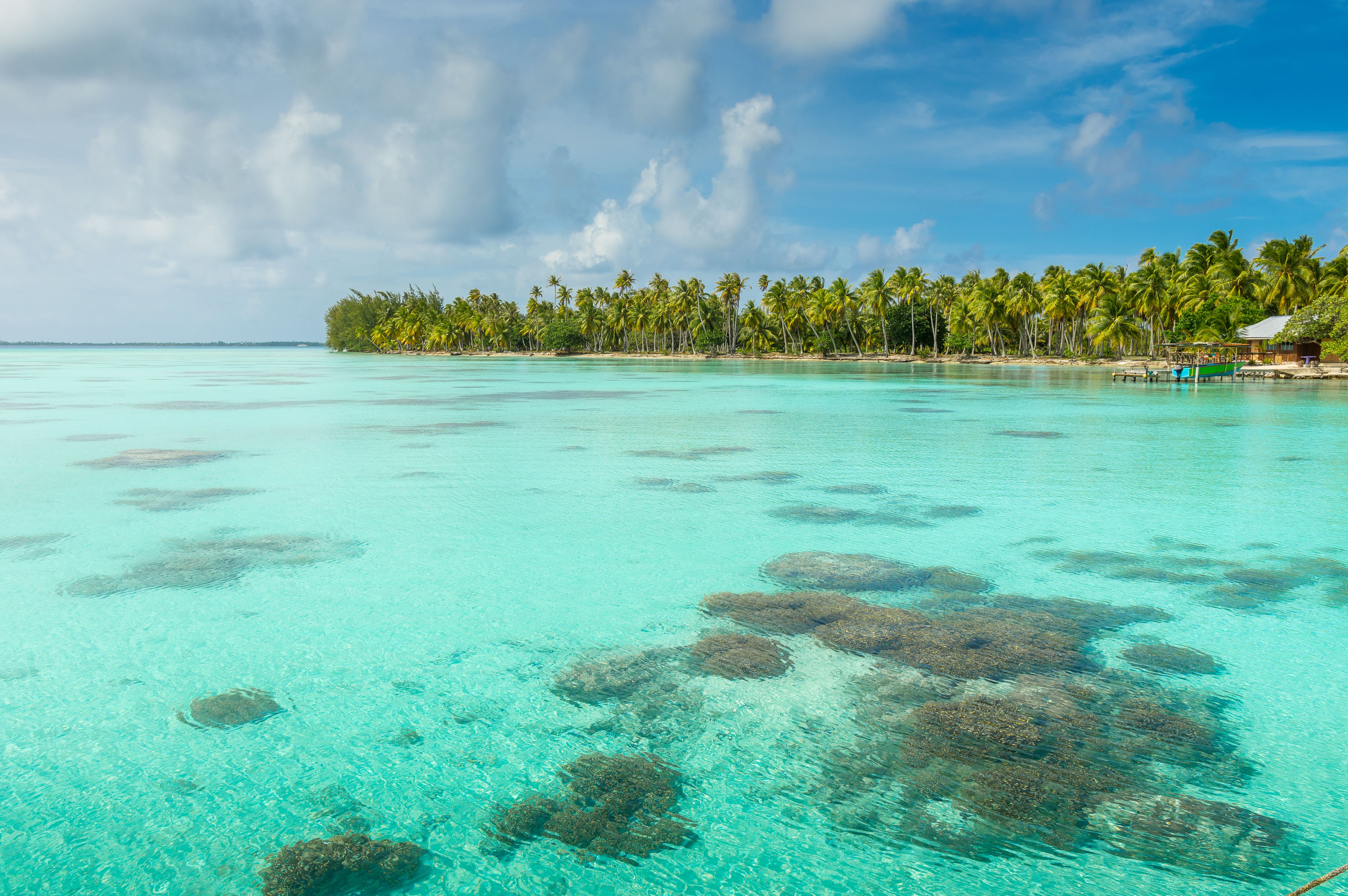 Tahiti様② Cruise from Papeete (Tahiti) to Papeete (Tahiti) - WH261115007