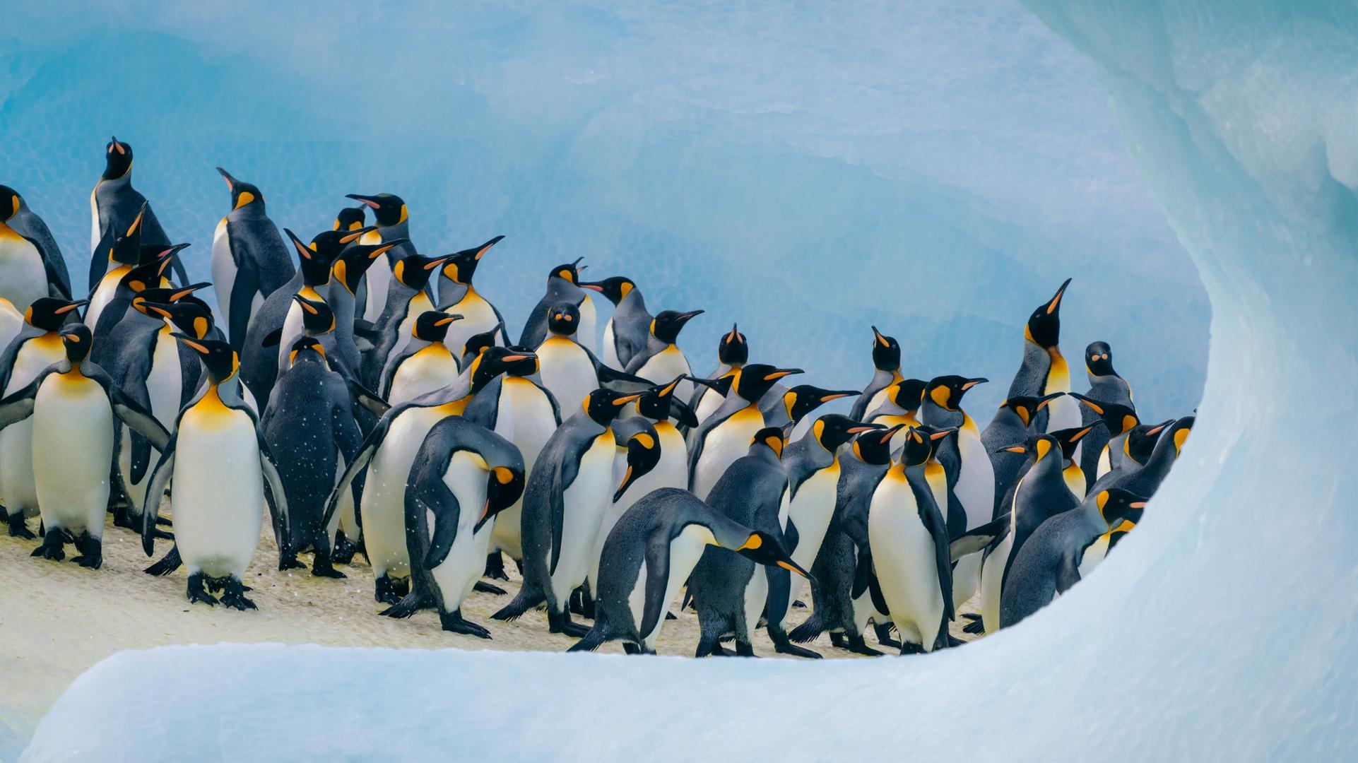 The closest thing on Earth
to another planet