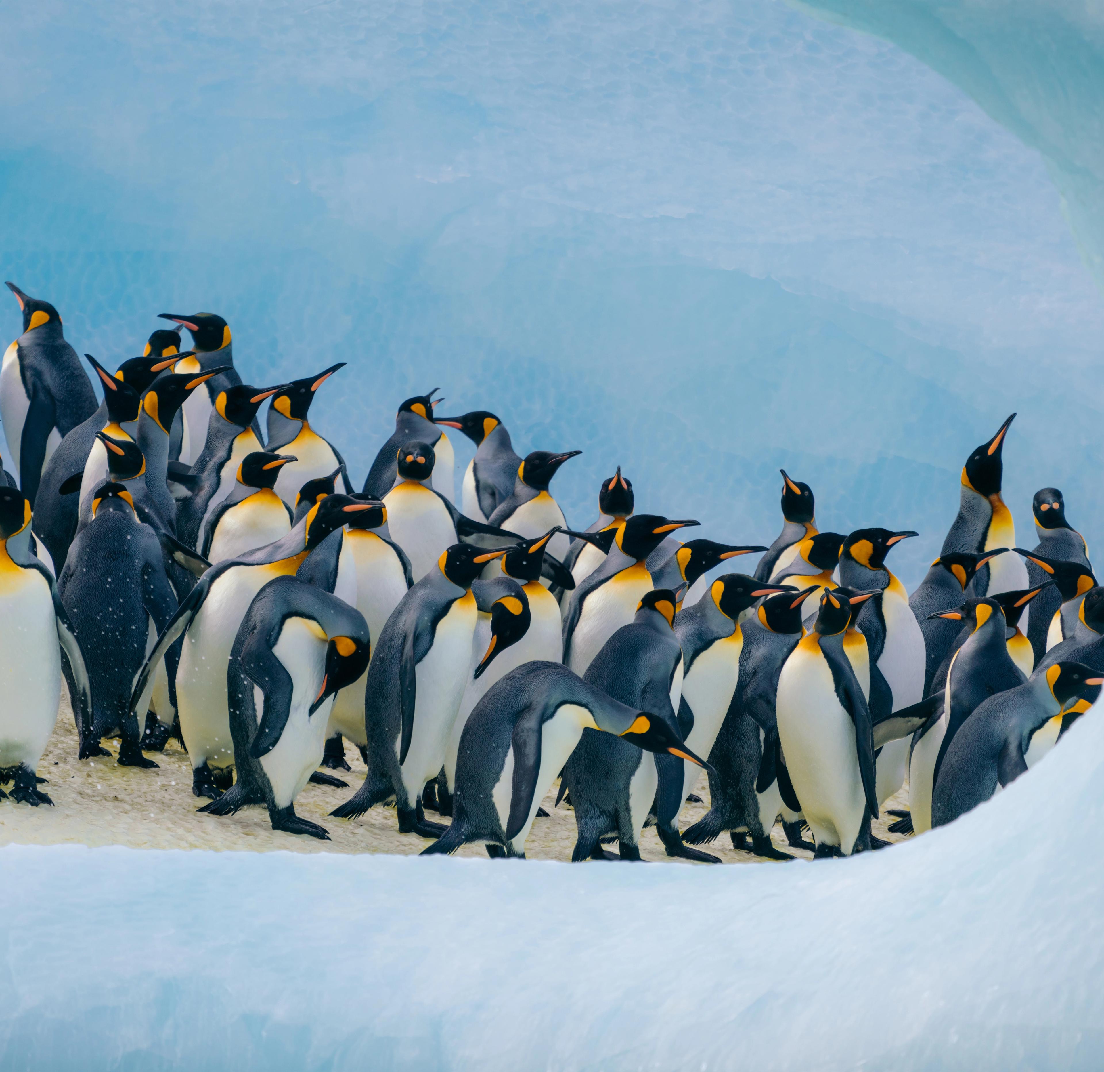 The closest thing on Earth
to another planet