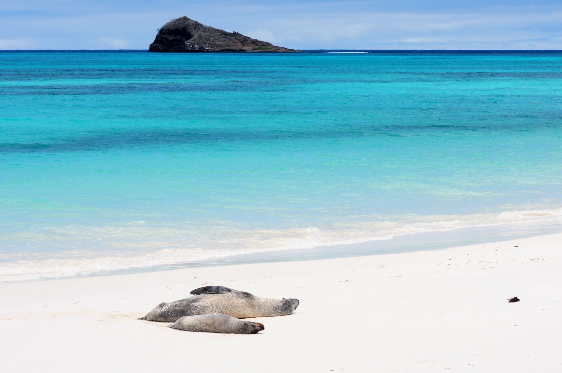 San Cristóbal, Galápagos a San Cristóbal, Galápagos