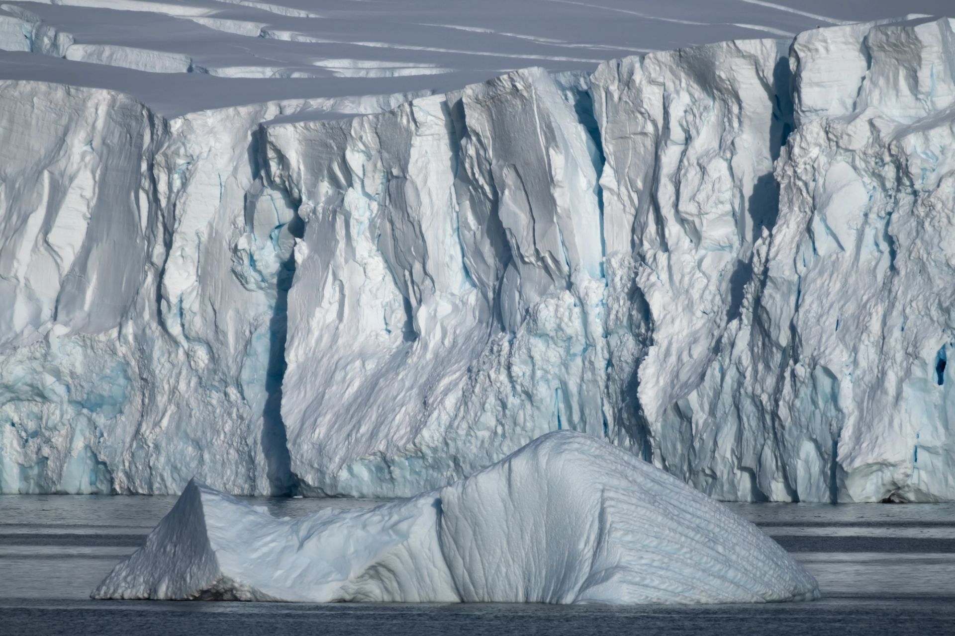 Puerto Williams to King George Island