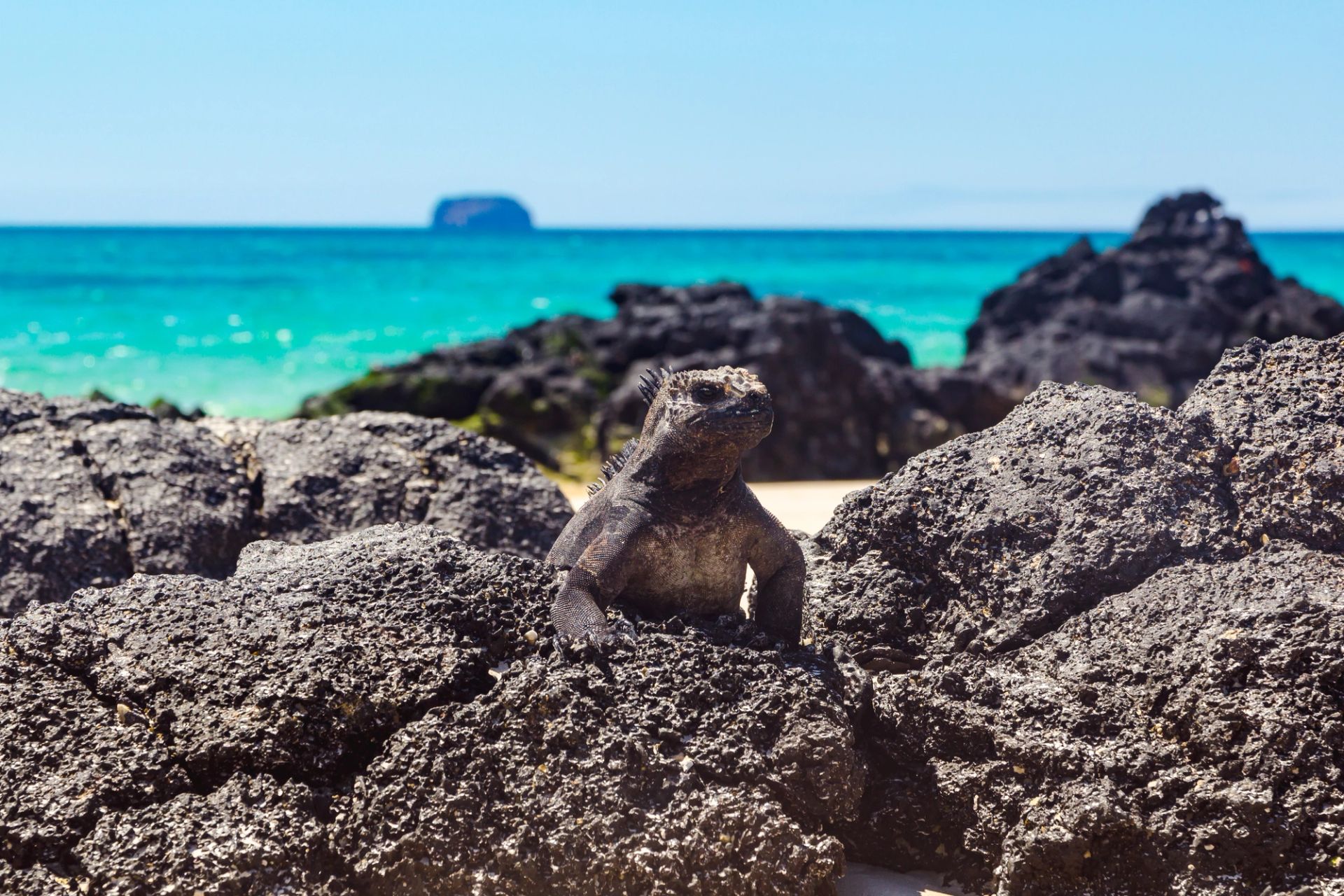 San Cristóbal, Galápagos nach San Cristóbal, Galápagos