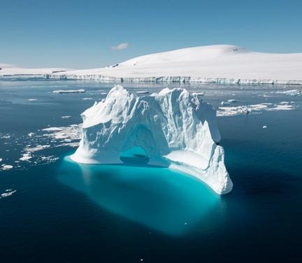 Cruise Puerto Williams King George Island