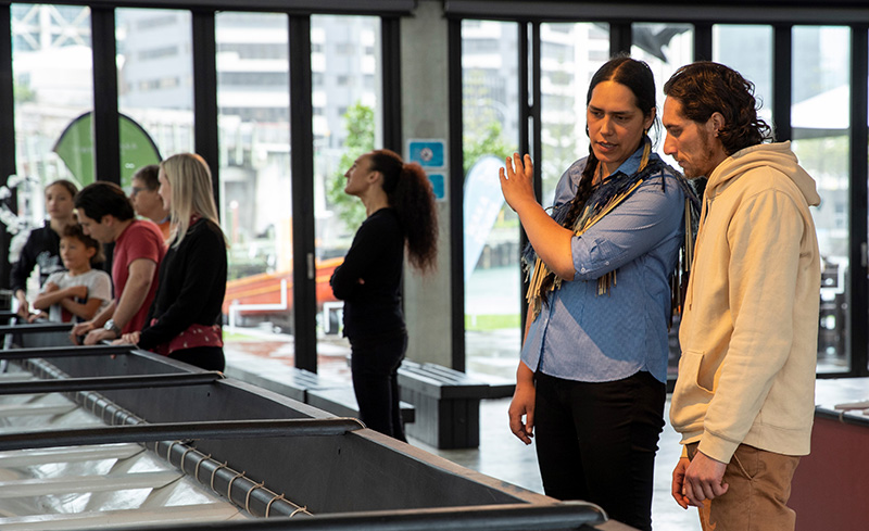 Maori Cultural Walking Tour