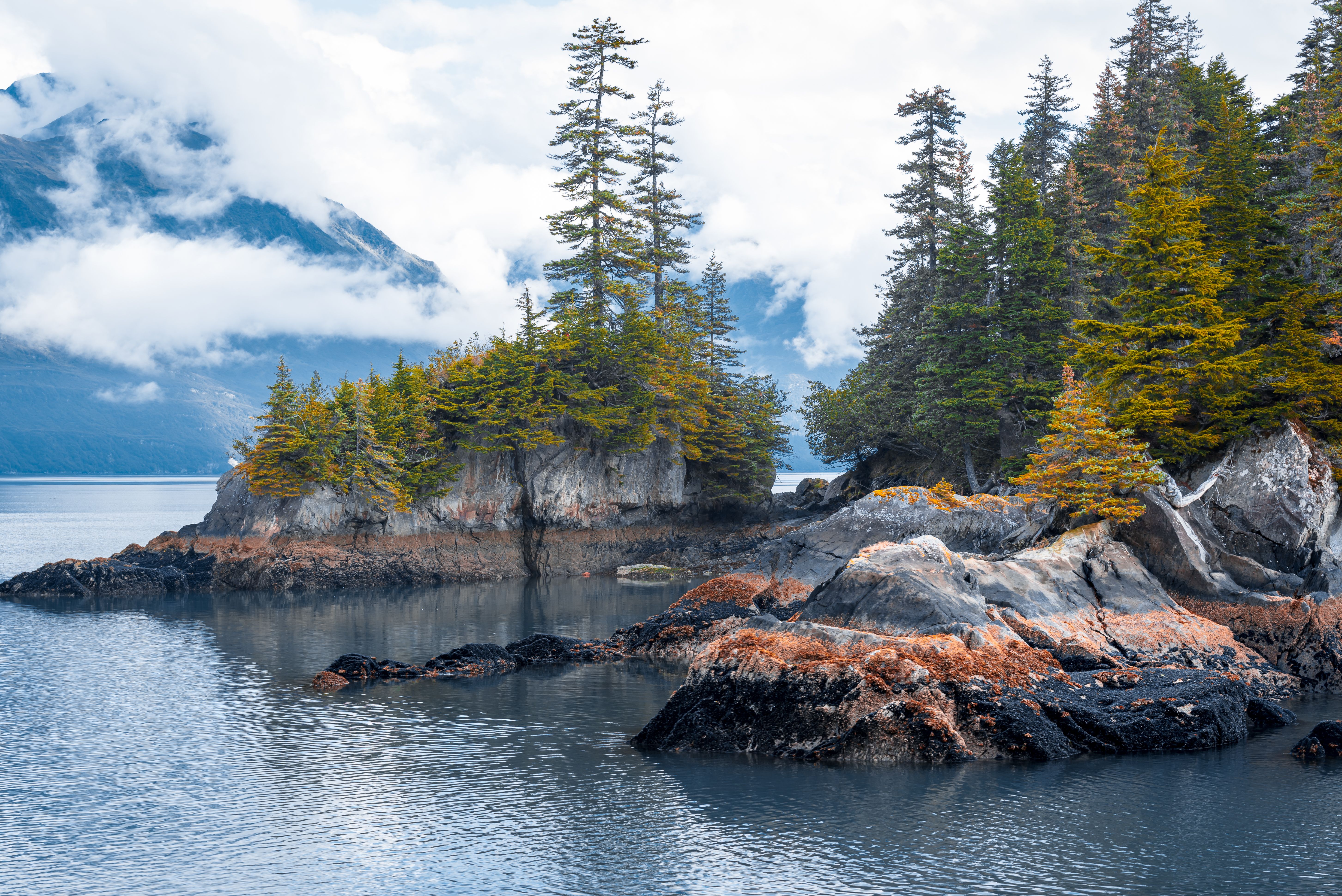 De Seward (Anchorage, Alaska) a Vancouver