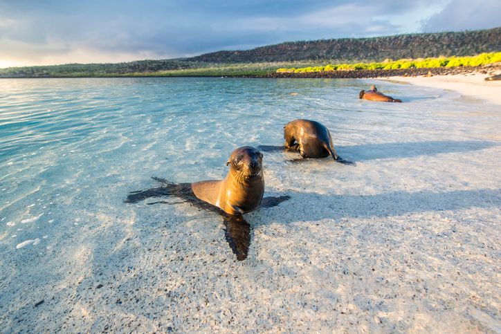 San Cristóbal, Galapagos à San Cristóbal, Galapagos