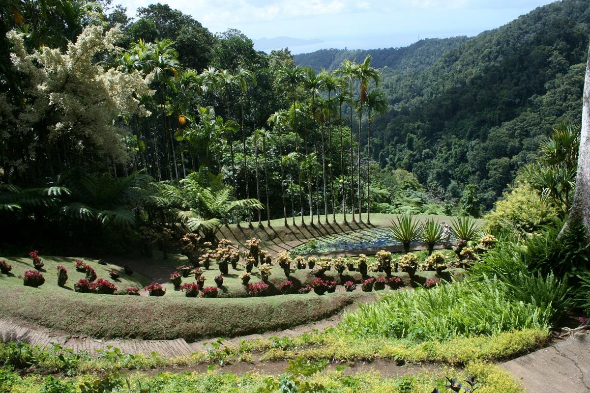 Botanical Gardens and Suspension Bridge