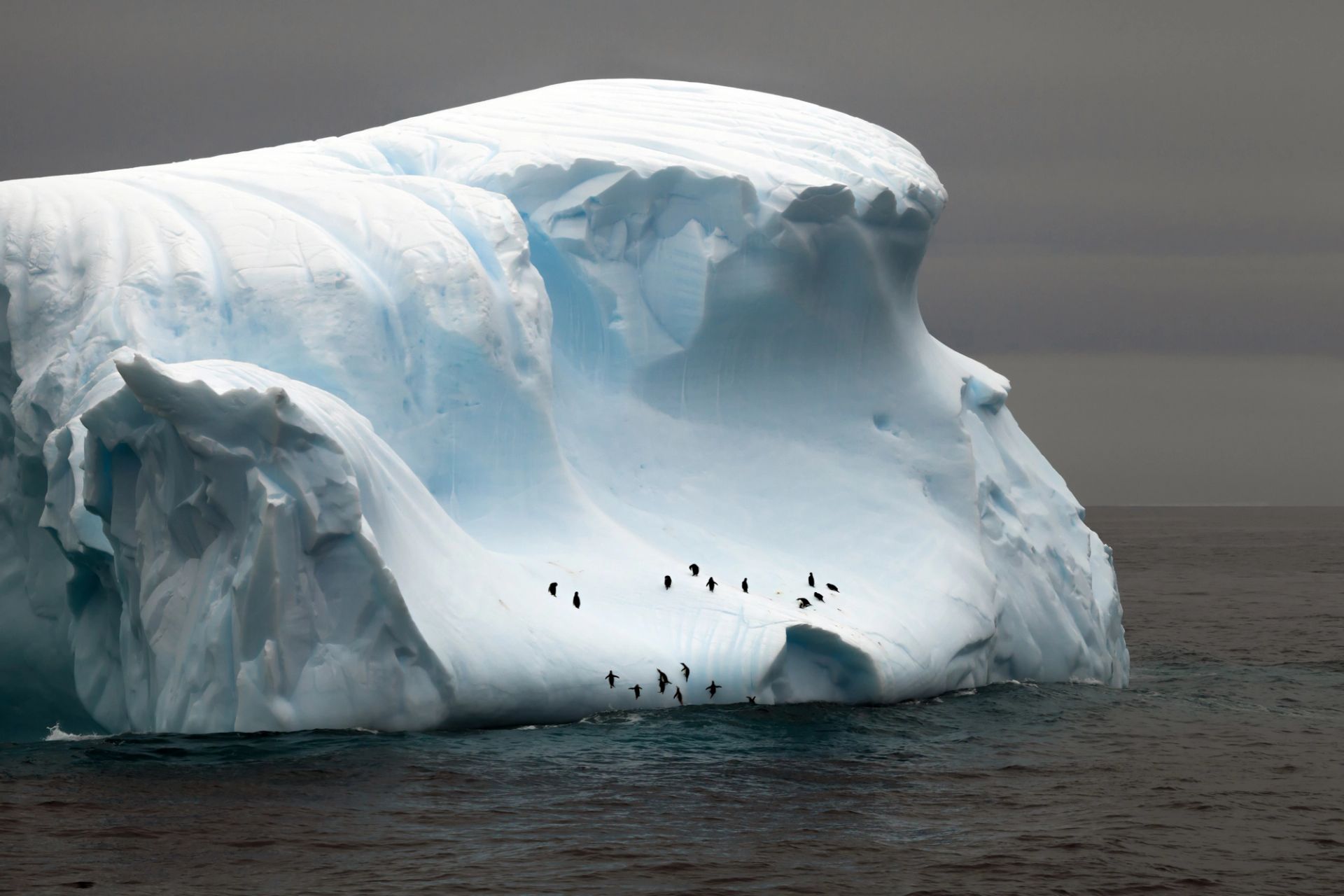 Puerto Williams to King George Island
