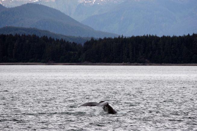 Seward (Anchorage, Alaska) à Vancouver