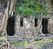 Ross Island, Andaman Islands