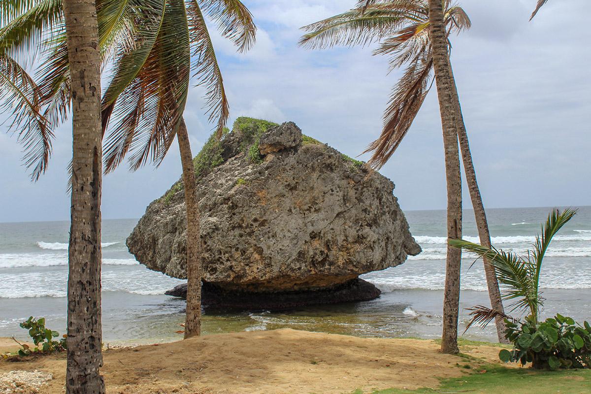 Barbados Highlights - in transit guests only