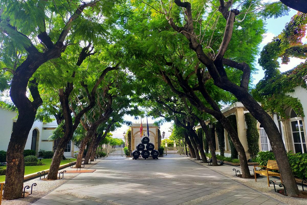 Jerez De La Frontiera & Bodegas Osborne