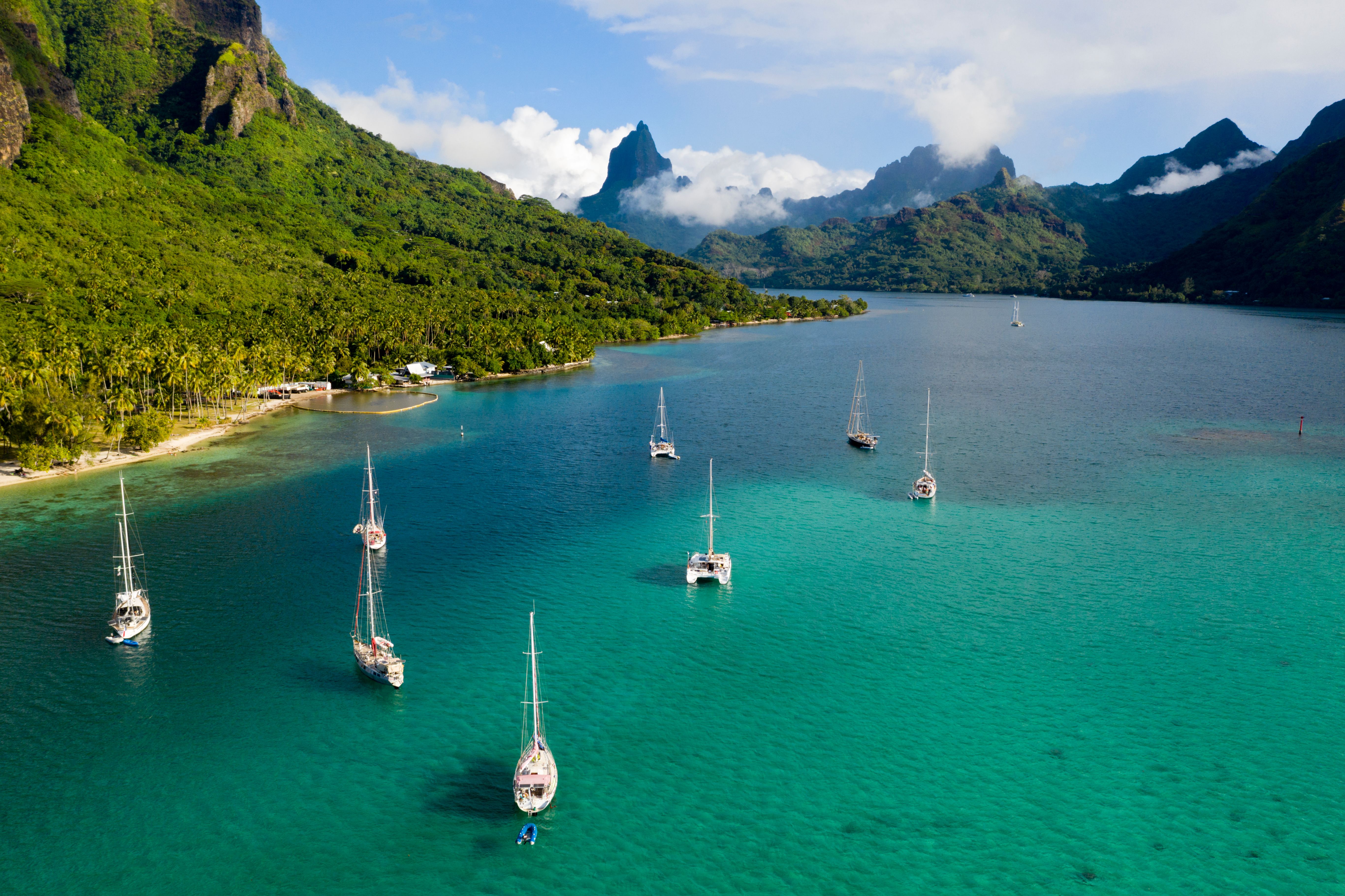 Les trésors tropicaux de Tahiti