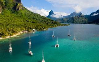 Tahitian Tropical Treasures