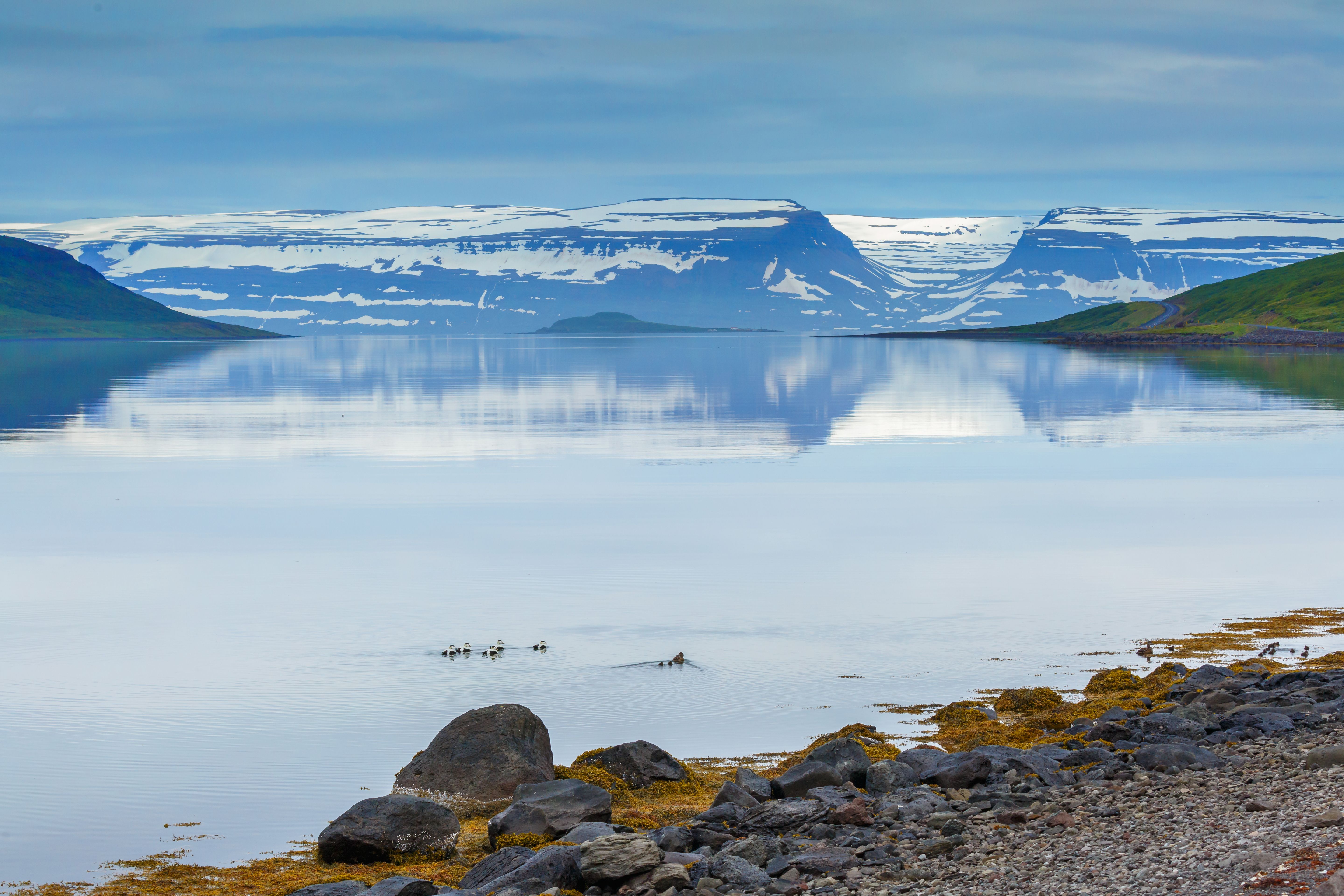 维格岛地点图片