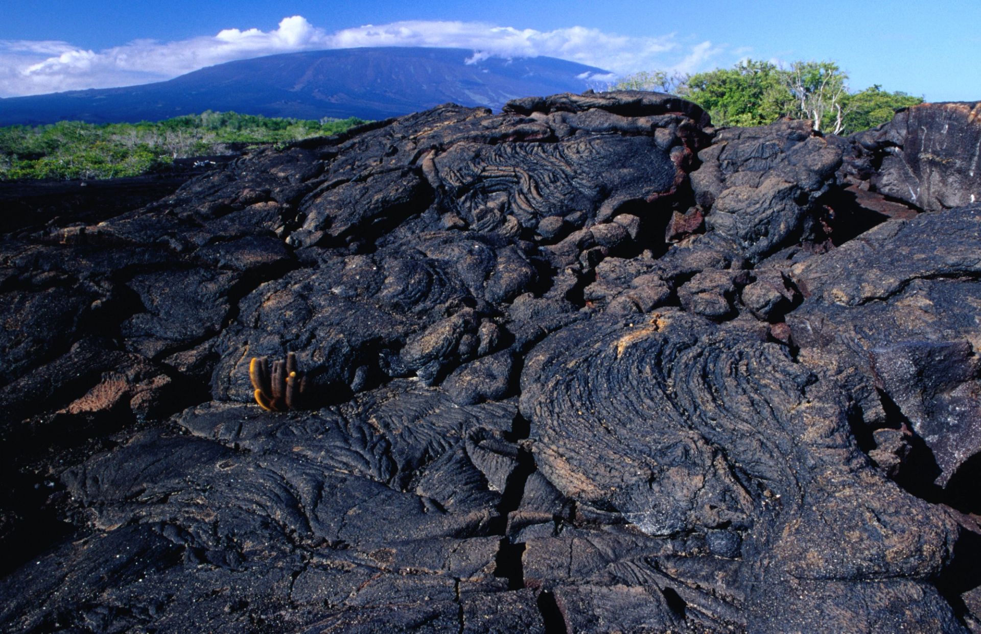 San Cristóbal, Galápagos a San Cristóbal, Galápagos