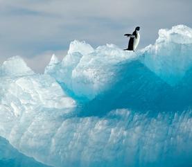 Cruise King George Island Puerto Williams