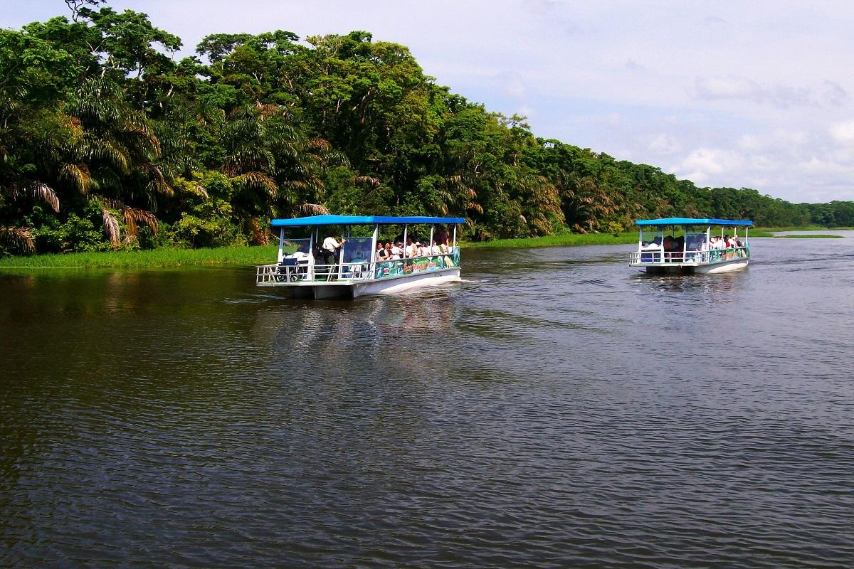 Tortuguero Canals & Rainforest Skywalk