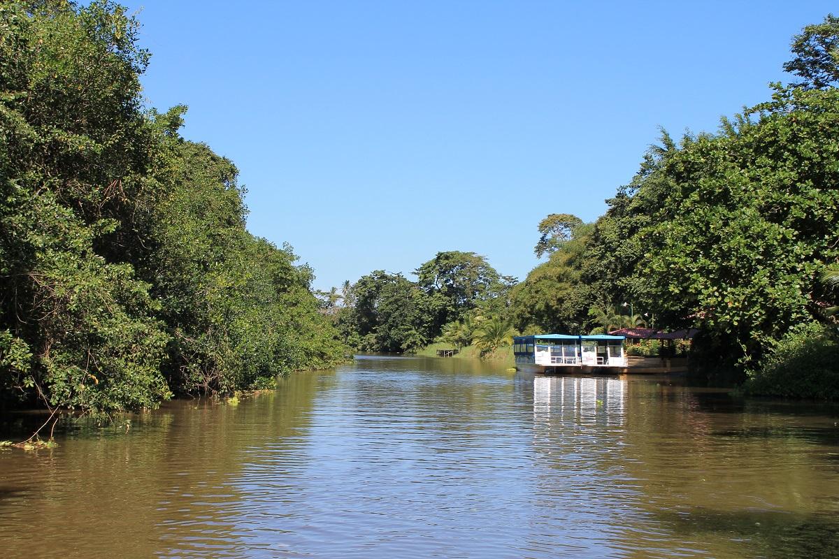 Eco Jungle River Cruise