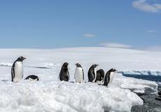 South Shetland Islands