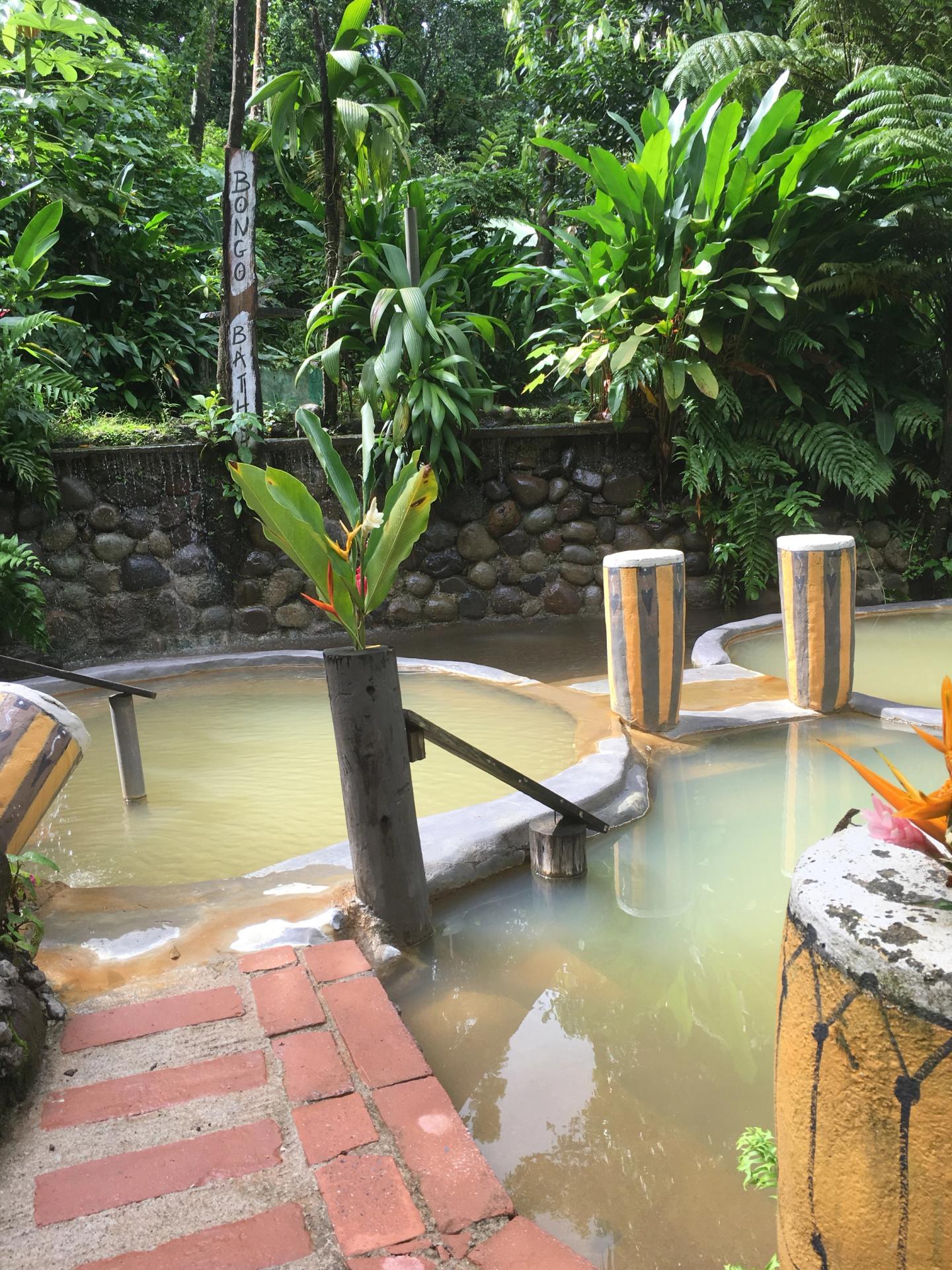 Trafalgar Falls & Jungle Spa Experience