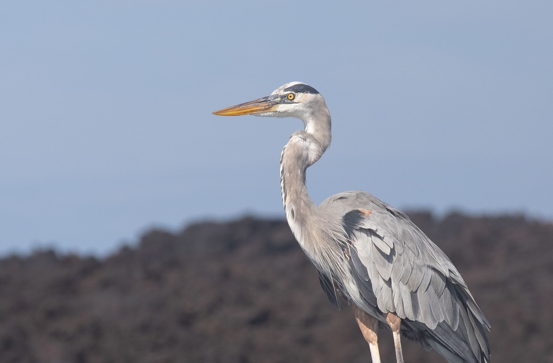 San Cristóbal, Galápagos a San Cristóbal, Galápagos