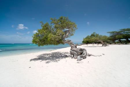 Bridgetown a Bridgetown