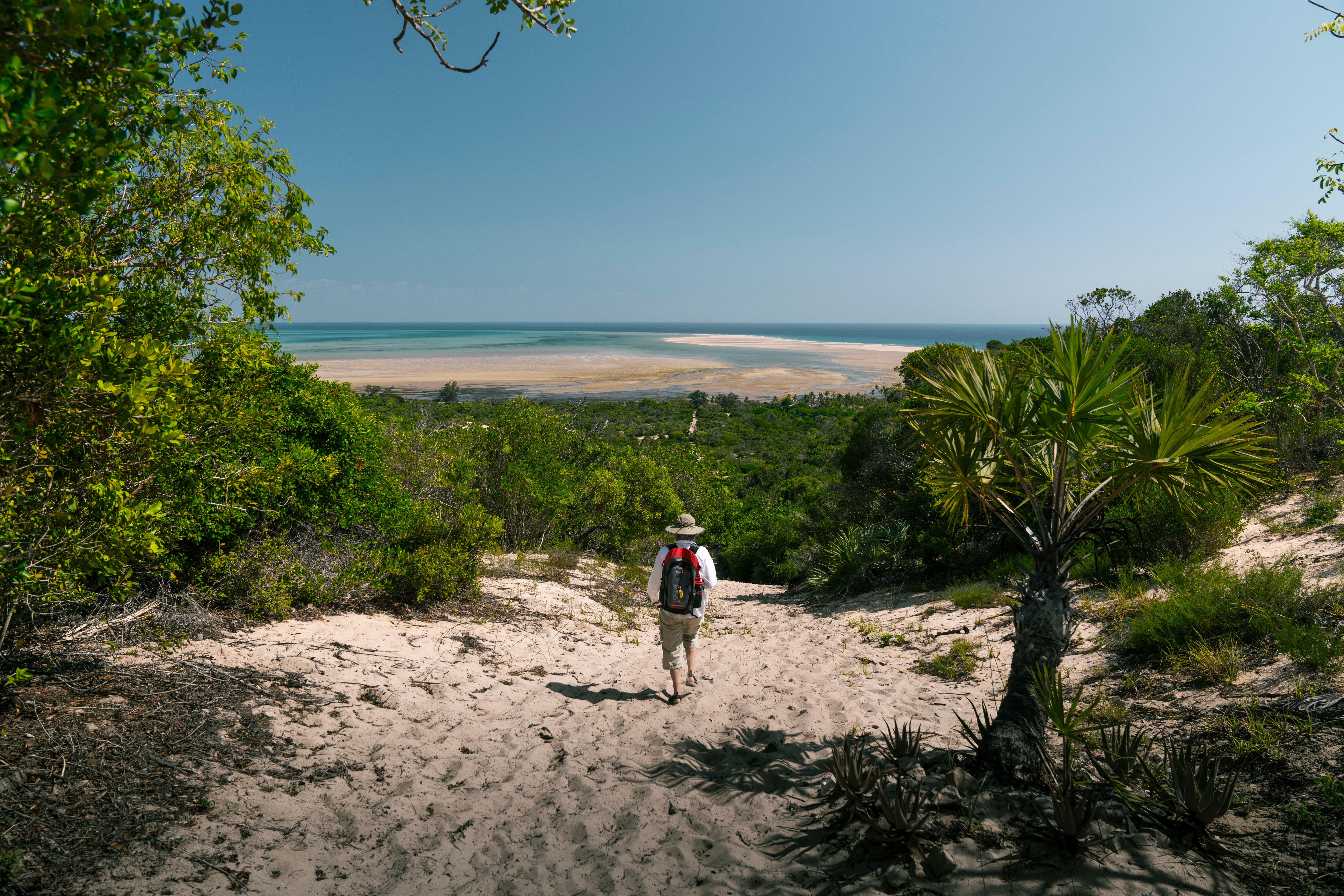 Africa & Indian Ocean