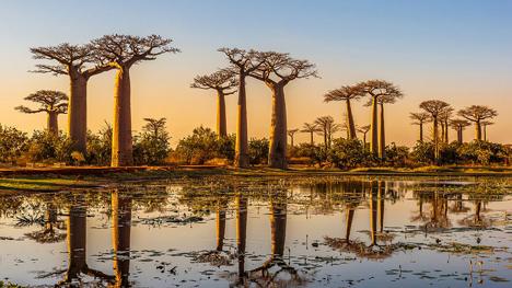 South Side Story - World Cruise 2023