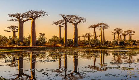 South Side Story - World Cruise 2023