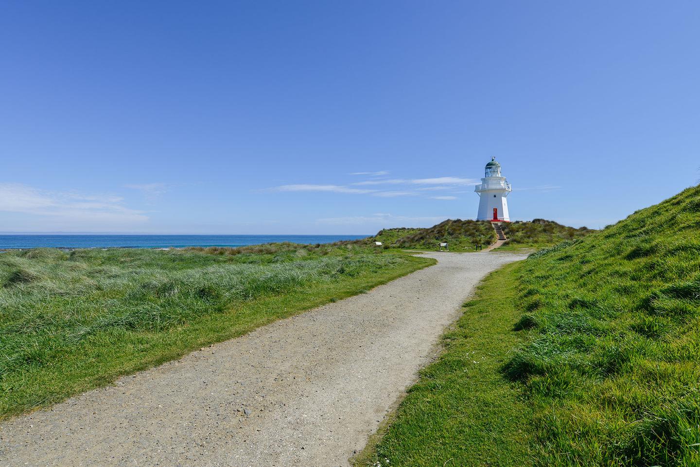Catlins Coast Discovery