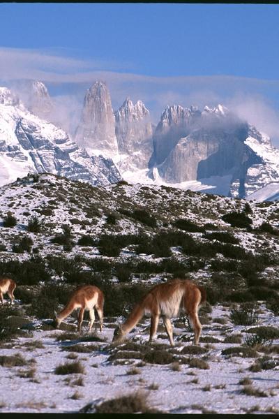 Patagonien in voller Größe